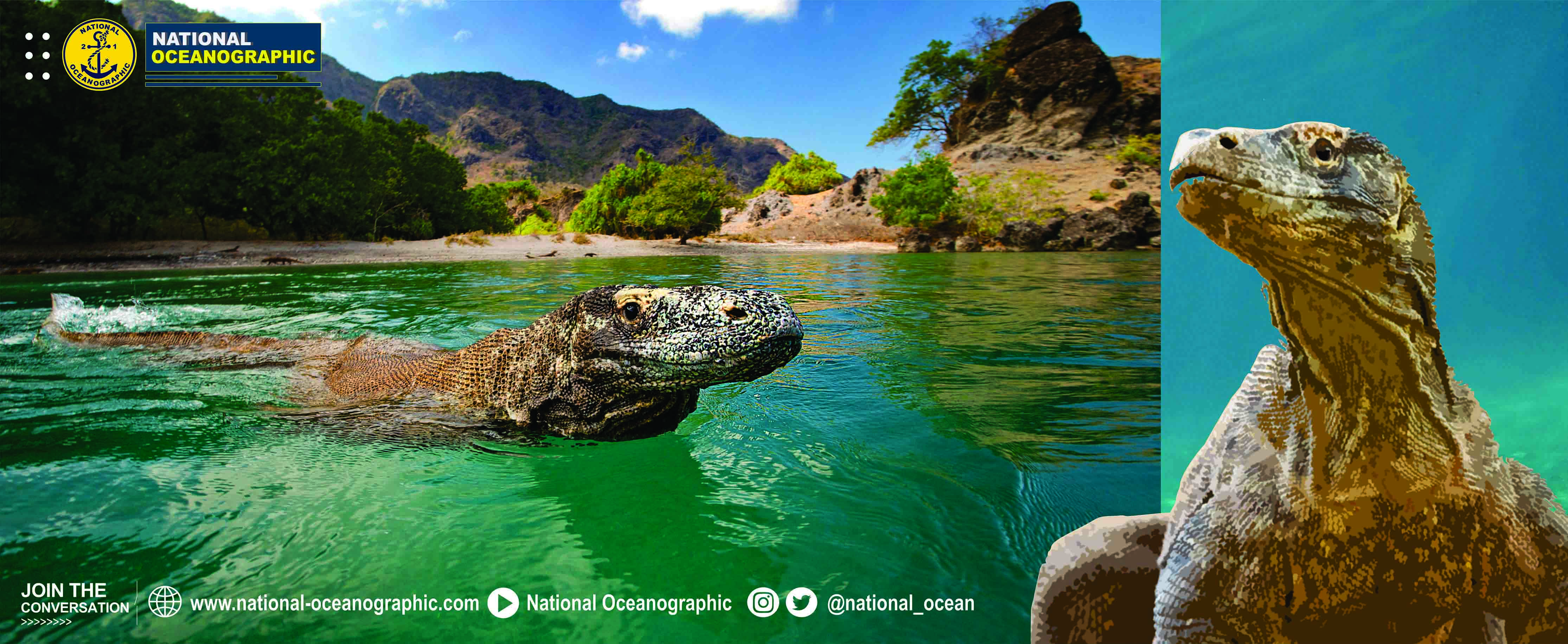 Not support to load image